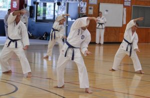 pacific international taekwondo brisbane