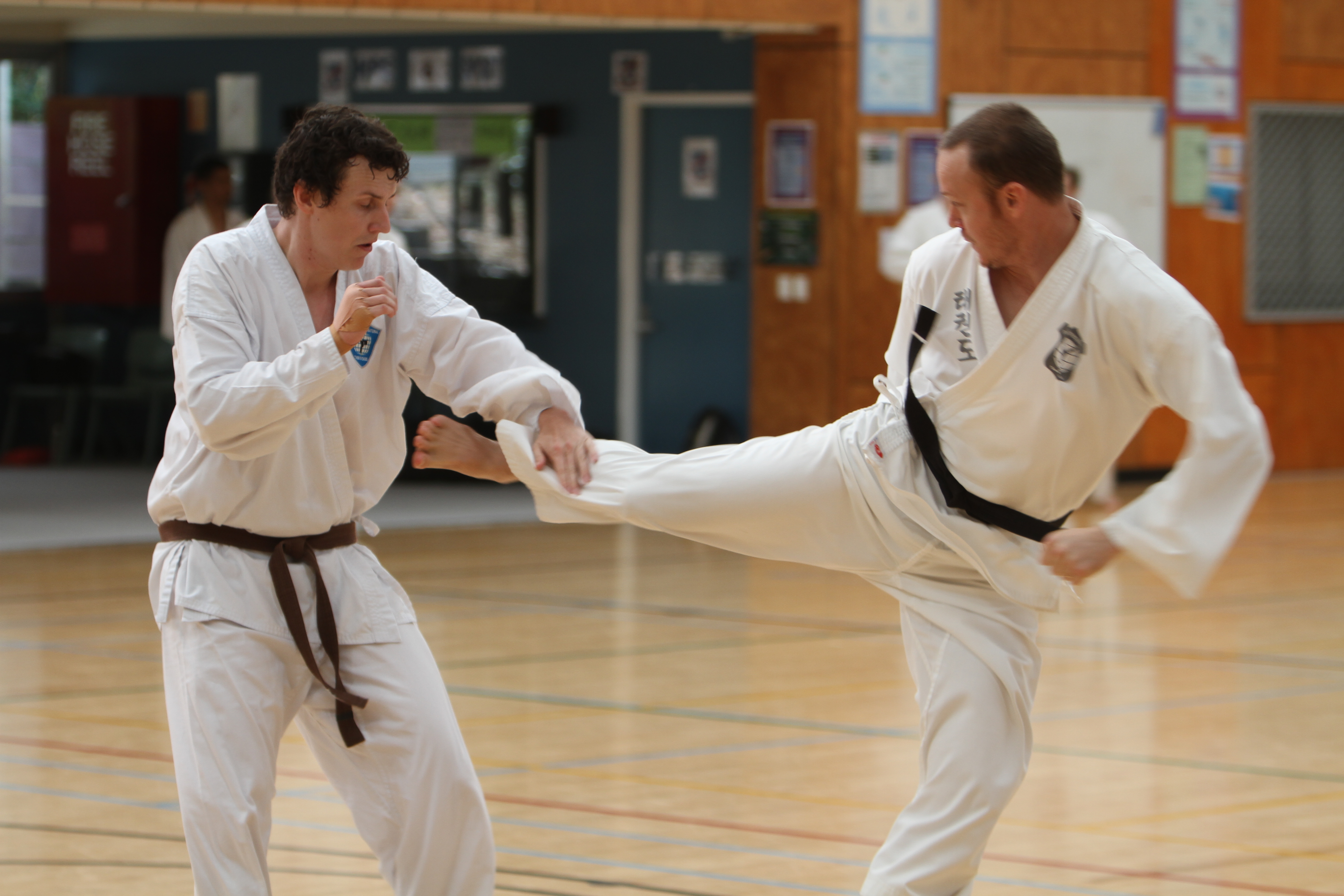 Taekwondo for adults