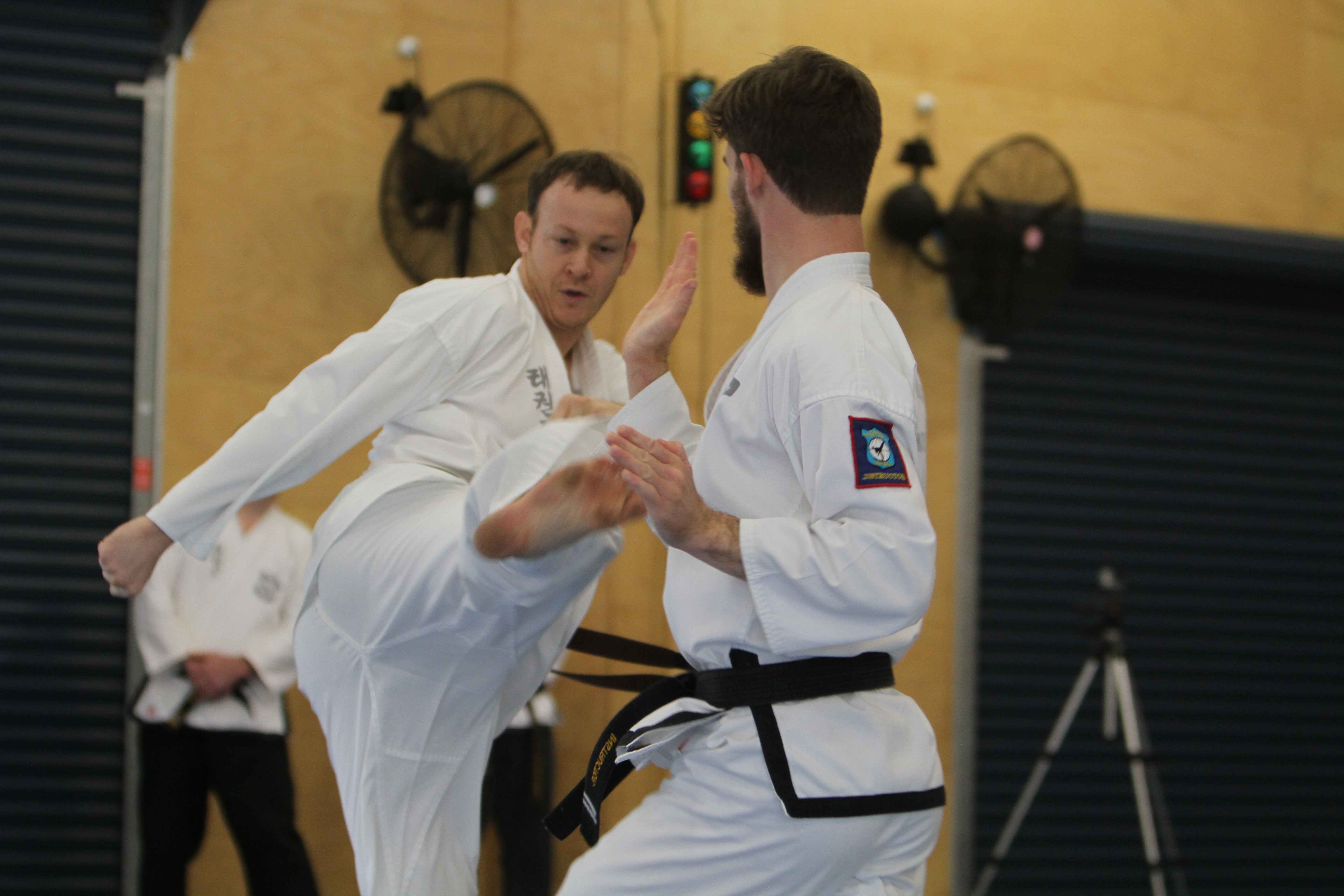 Taekwondo for adults