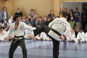 Taekwondo lessons for adults