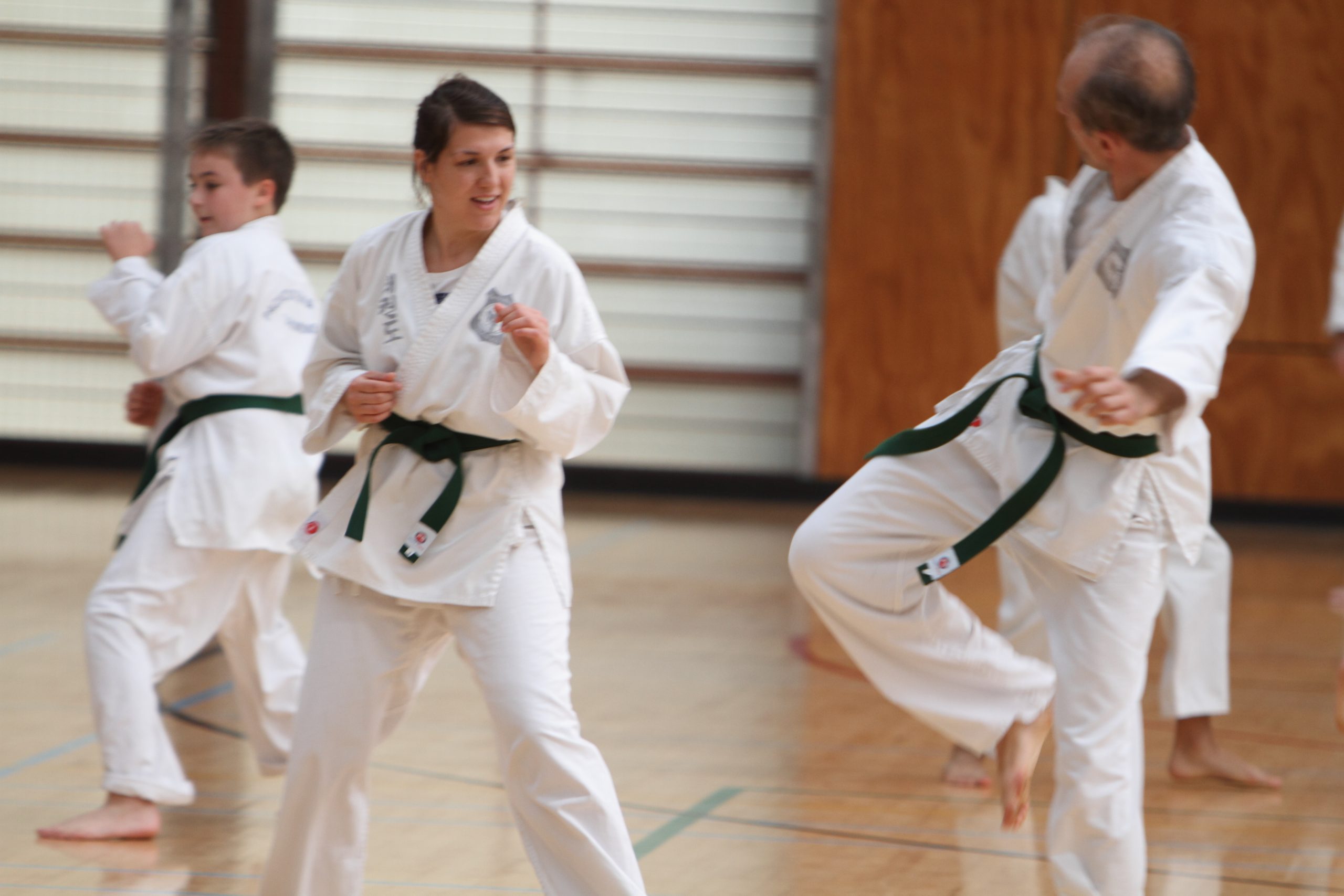 Beginner martial art classes for adults