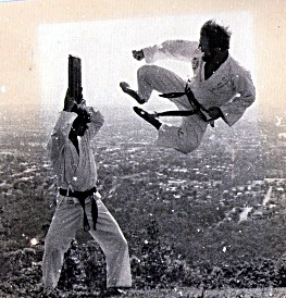 first taekwondo dmonstrations