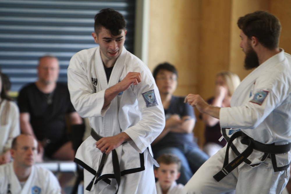 taekwondo training in brisbane