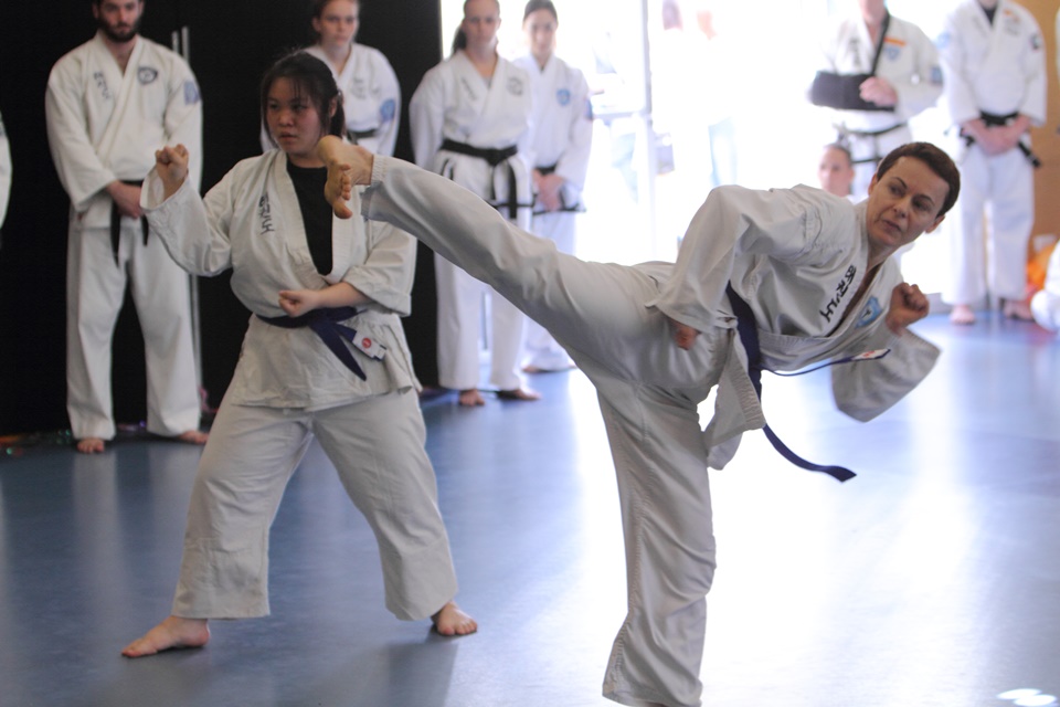 taekwondo class
