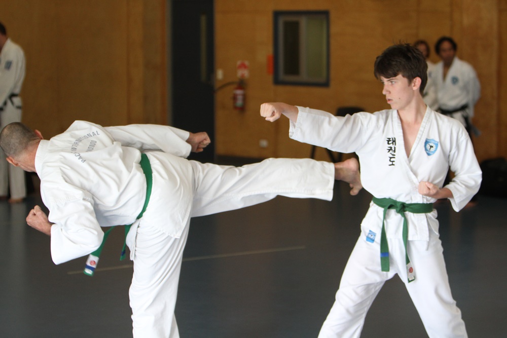 Beginner Taekwondo class for teens