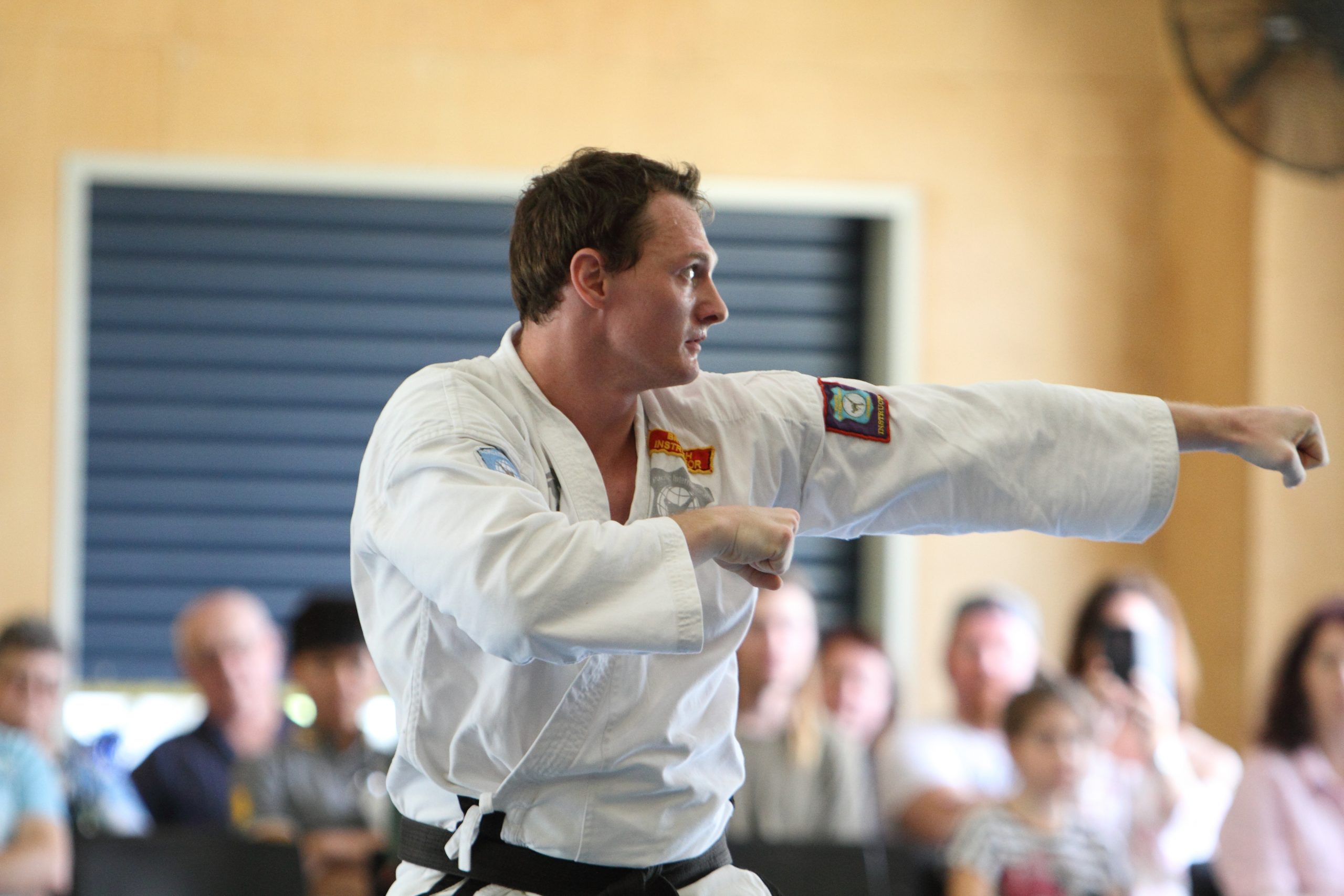 adult Taekwondo classes