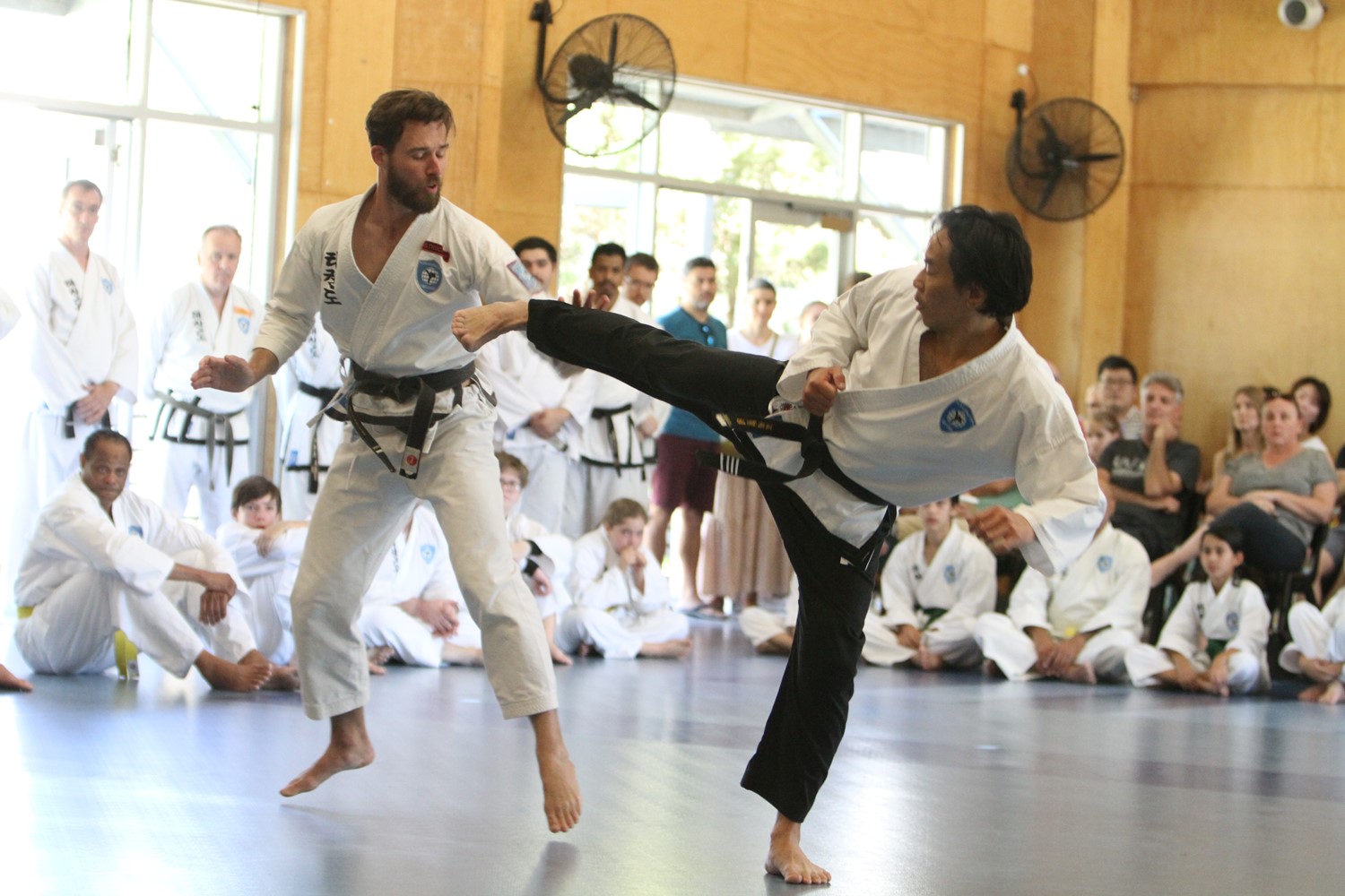 Good Taekwondo habits lead to success