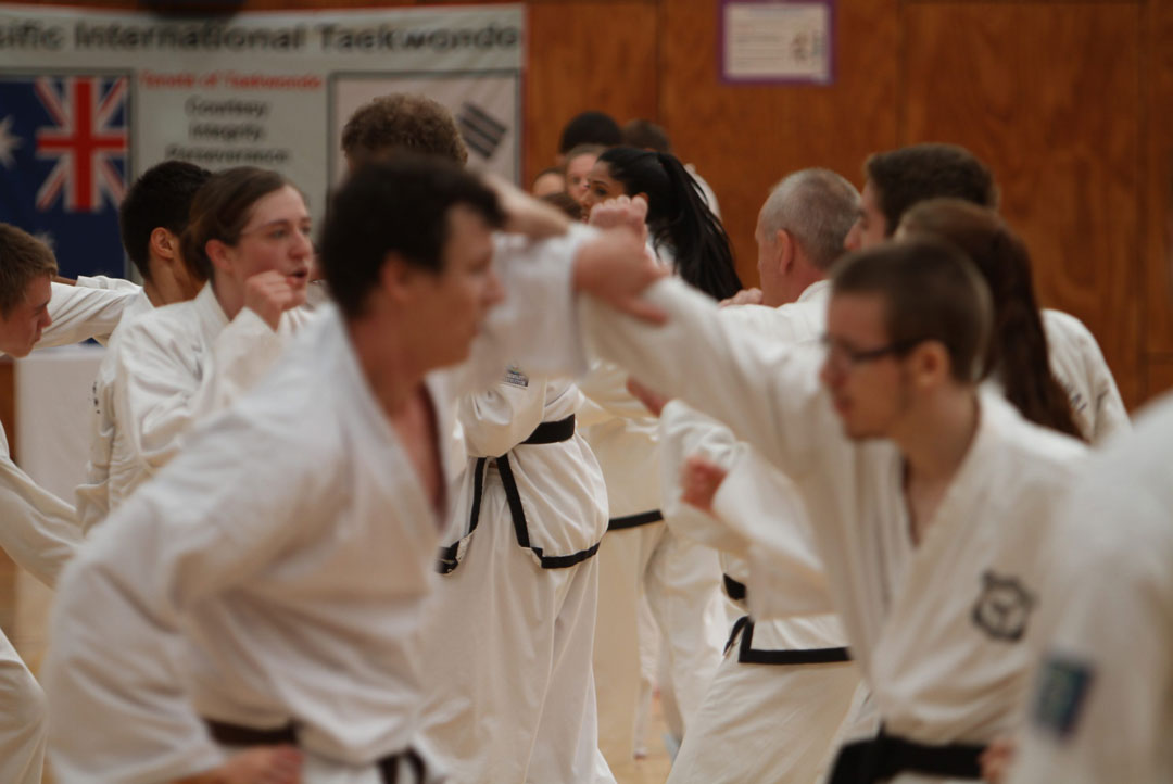 adult taekwondo classes
