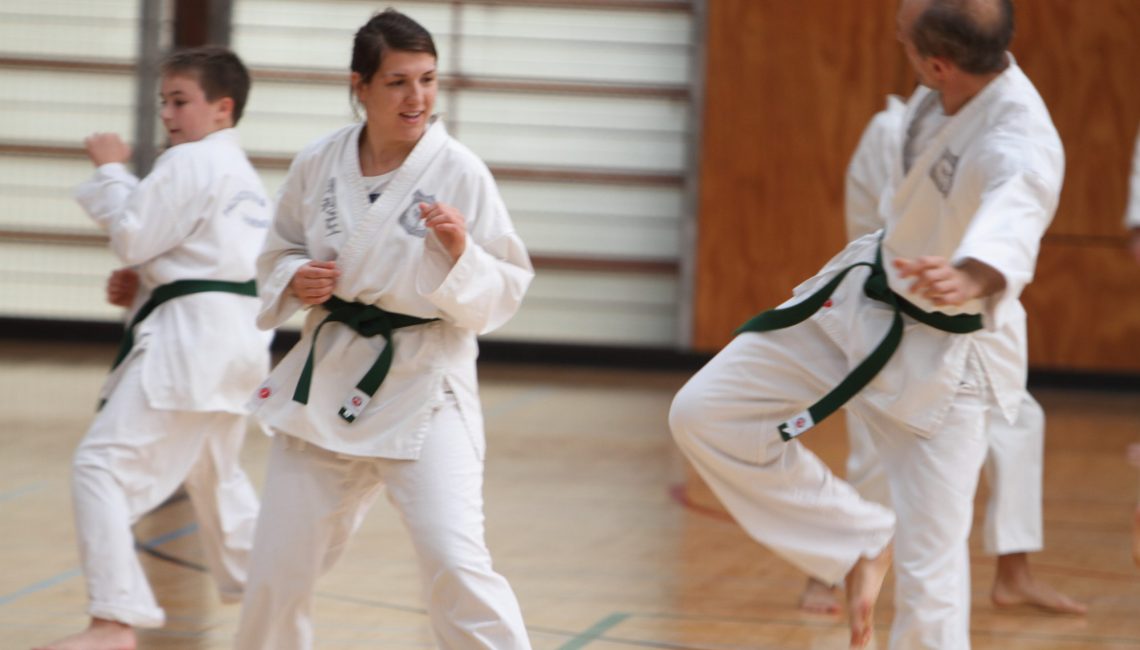 Beginner martial art classes for adults