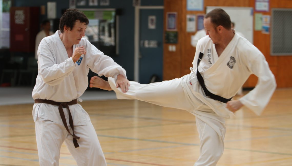 Taekwondo for adults