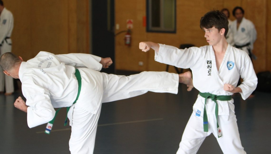 Beginner Taekwondo class for teens