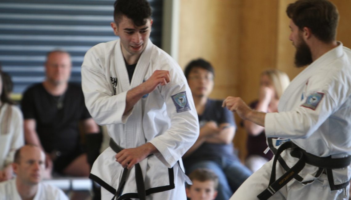 taekwondo brisbane stance