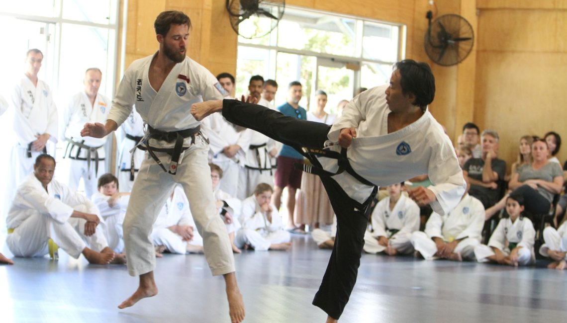 Good Taekwondo habits lead to success