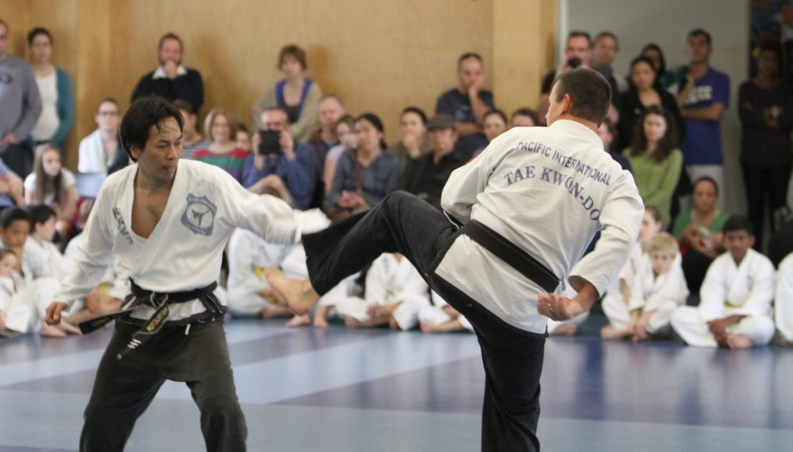Taekwondo lessons for adults