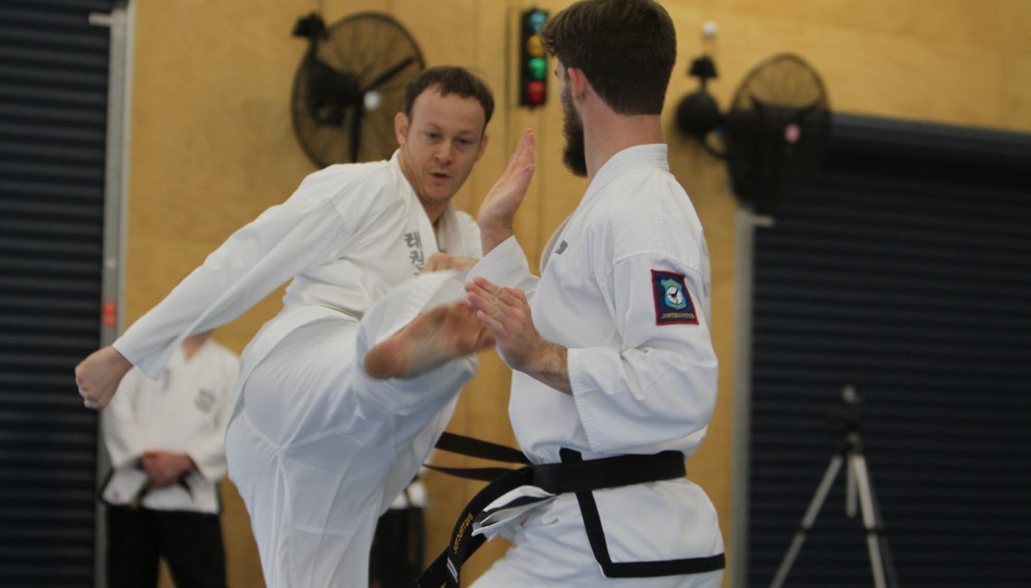 Taekwondo for adults