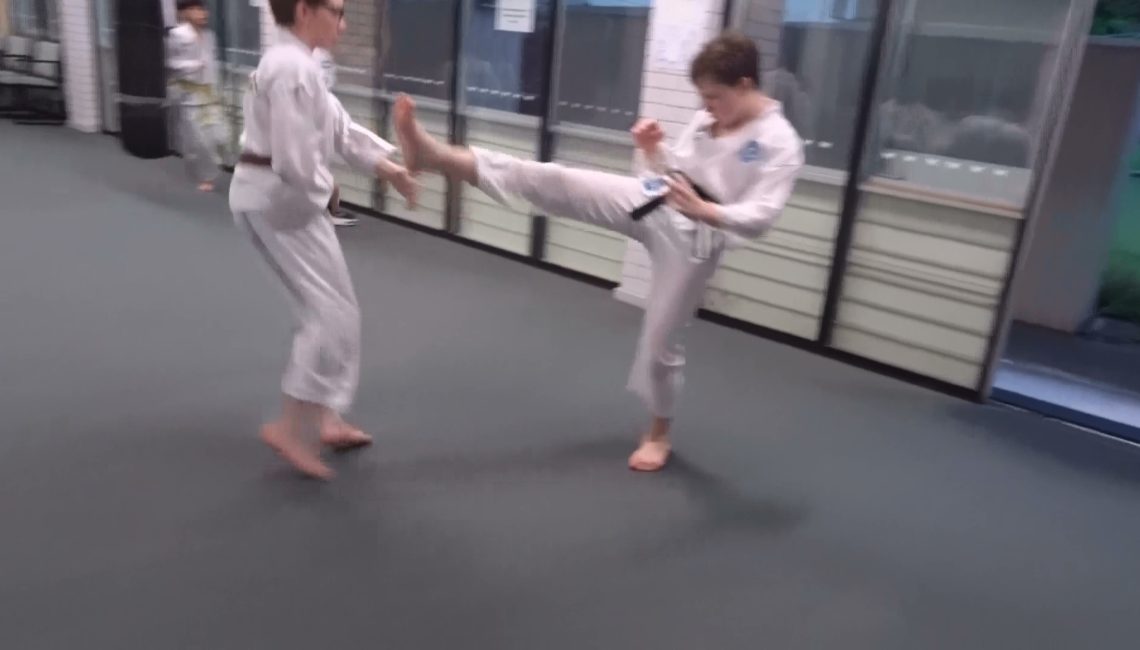 Nicholas and Alex spar 4