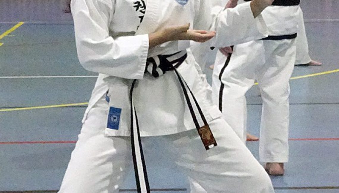 Teen girl practising martial art stance