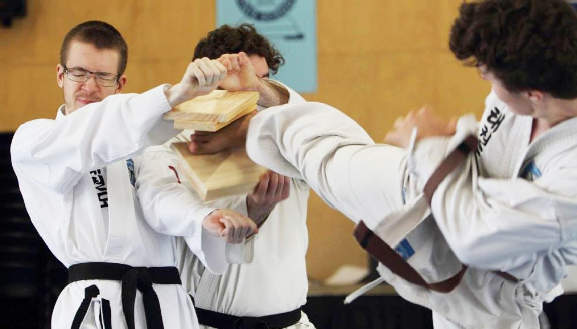 adults-martial-arts-6