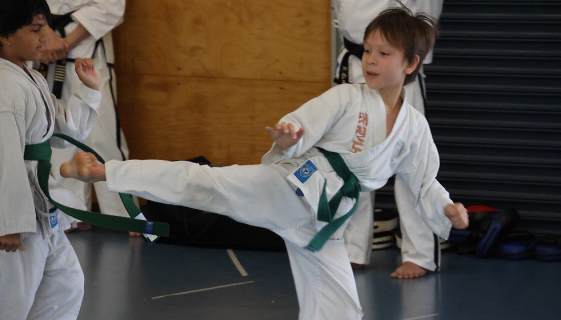 boy practicing taekwondo kick