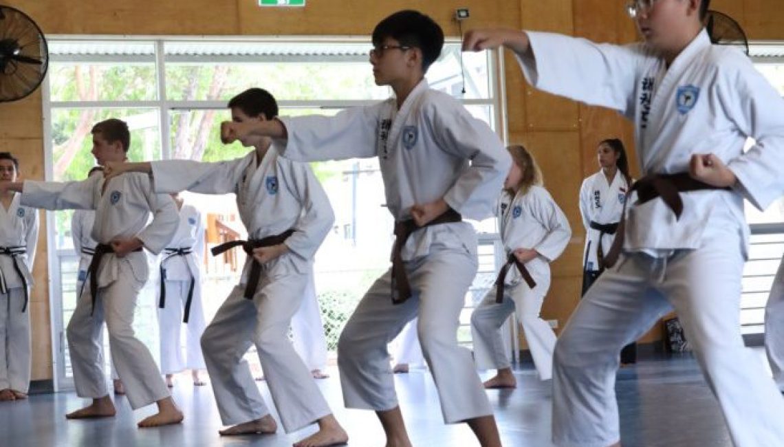 boys practice taekwondo stances